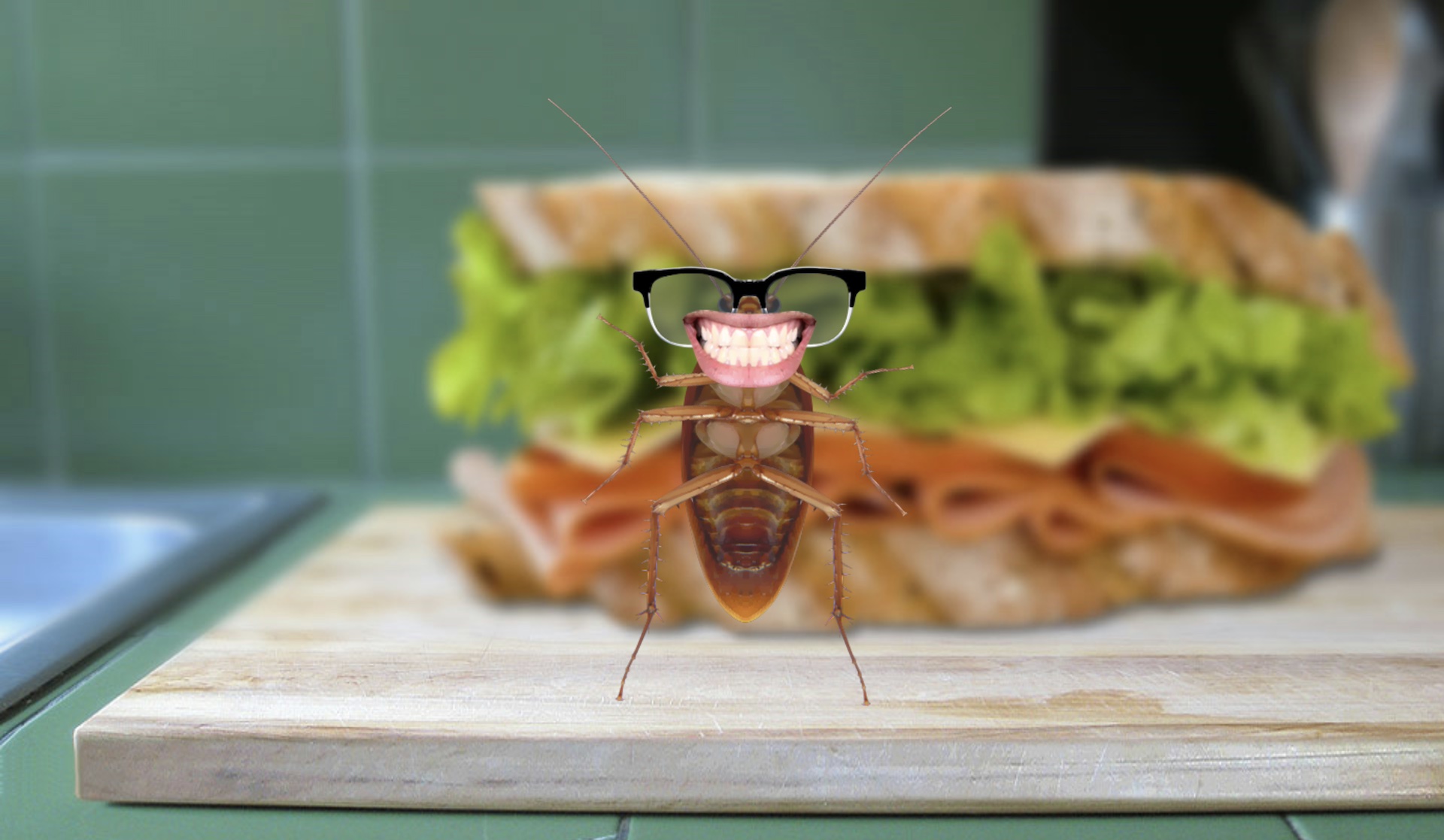 screen capture of motion graphic example: animated cockroach dancing